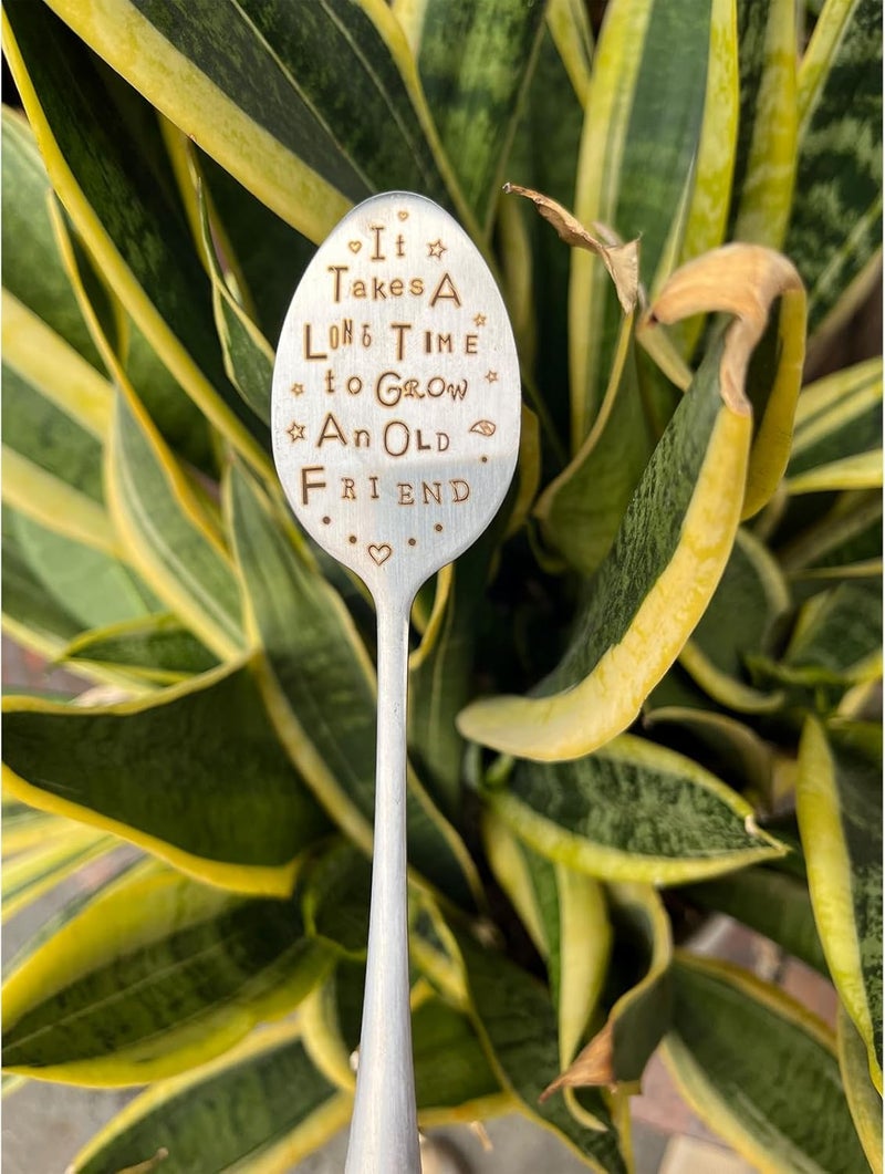 PLWalker Garden Plant Marker Friendship Gift for Women Gardeners, Plant Stake Label Sign Tag Gardening Gifts for Woman Plant Lovers, Metal Garden Decoration (Grow an Old Friend) - Image 4